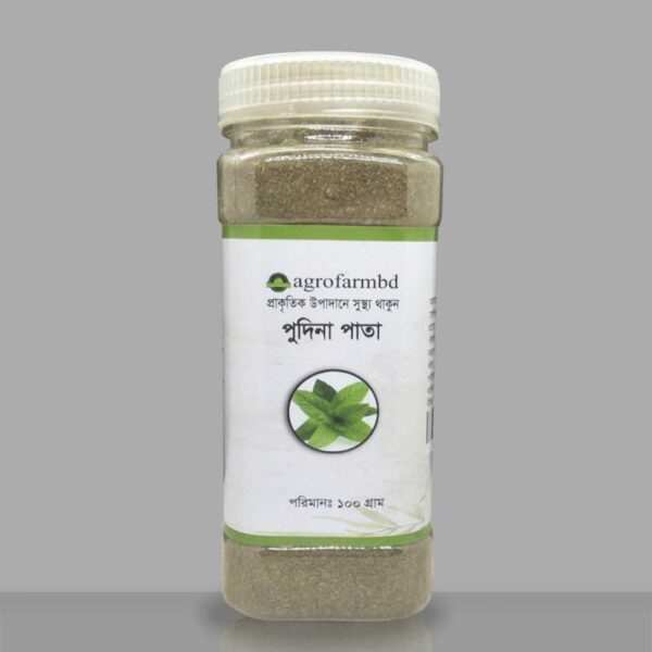 পুদিনা পাতা গুঁড়ো ১০০ গ্রাম (Pudina Pata Powder / Mint Leaf Powder)